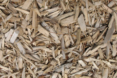 biomass boilers Gunwalloe